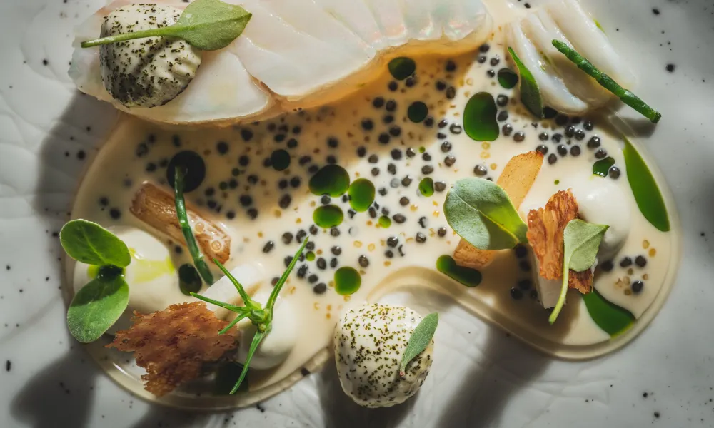 turbot dish at moor hall