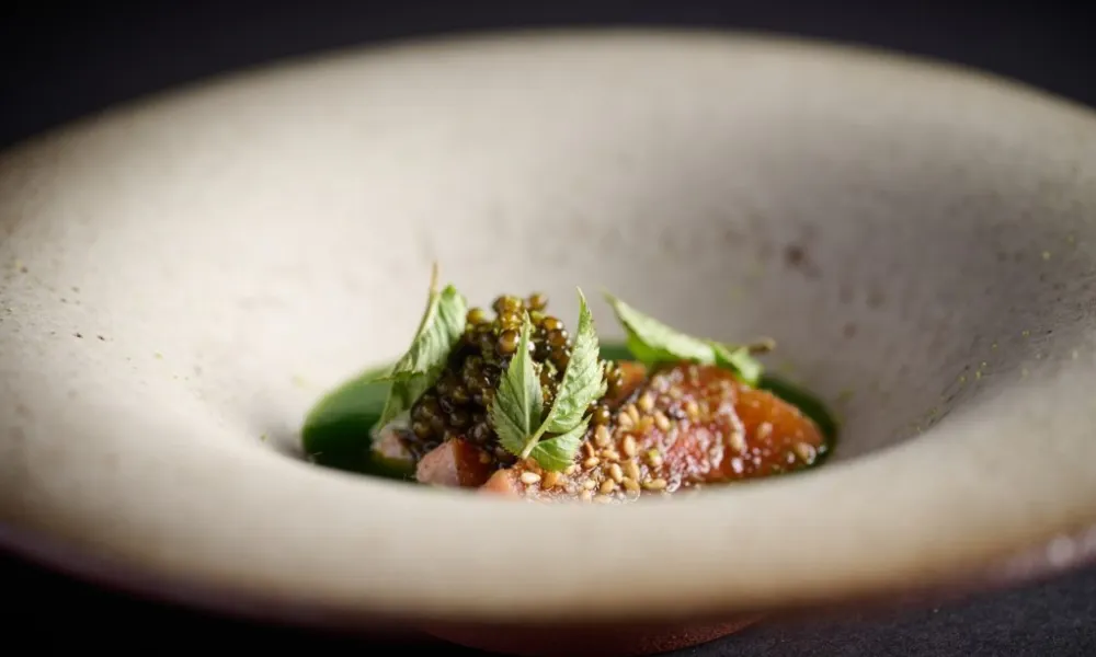 bowl with pink fish and caviar