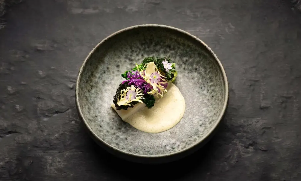 grey bowl with white sauce and greens