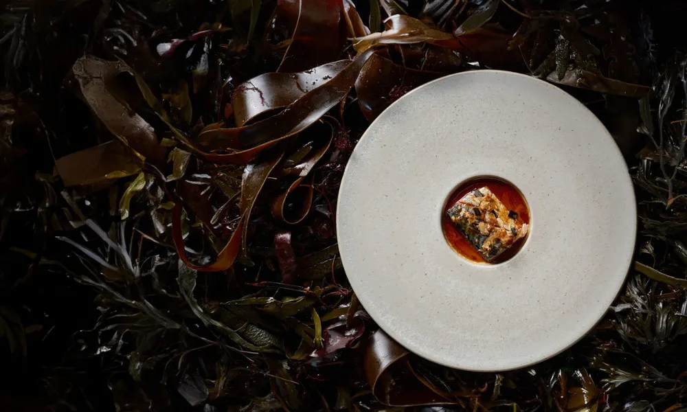 fish dish on a plate resting atop a mound of seaweed