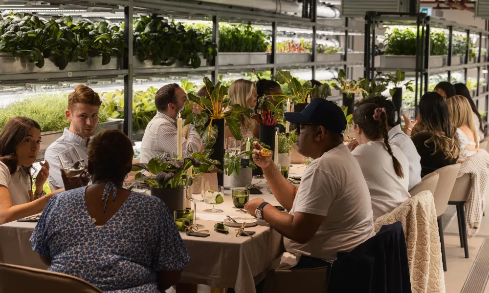 Chef's table in the middle of hydroponic farm