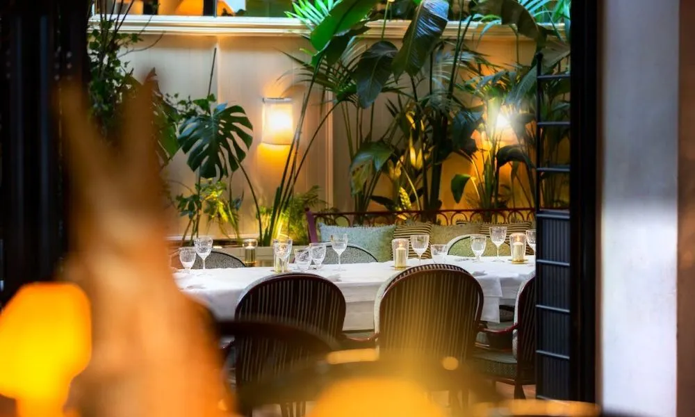 Leafy plants in private space