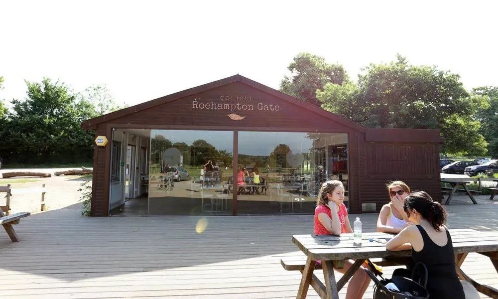 Cafe and outdoor terrace