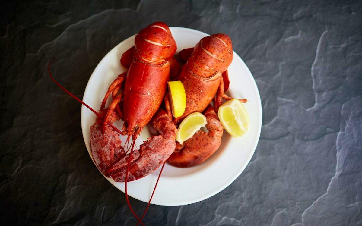 Tourist pays £175 for lobster at fancy restaurant, then releases it back into sea