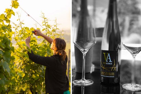 Everything you need to know about Alsace wine