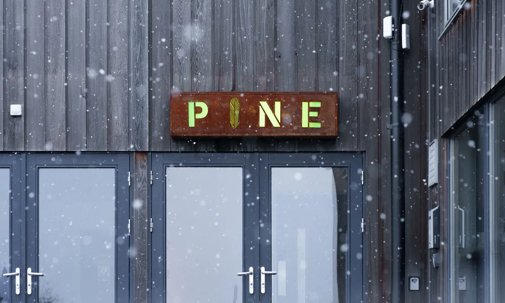 neon sign outside pine