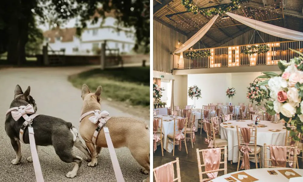 dogs with decorated leads as ring bearers at a wedding, cosy barn interiors for a wedding at Houchins