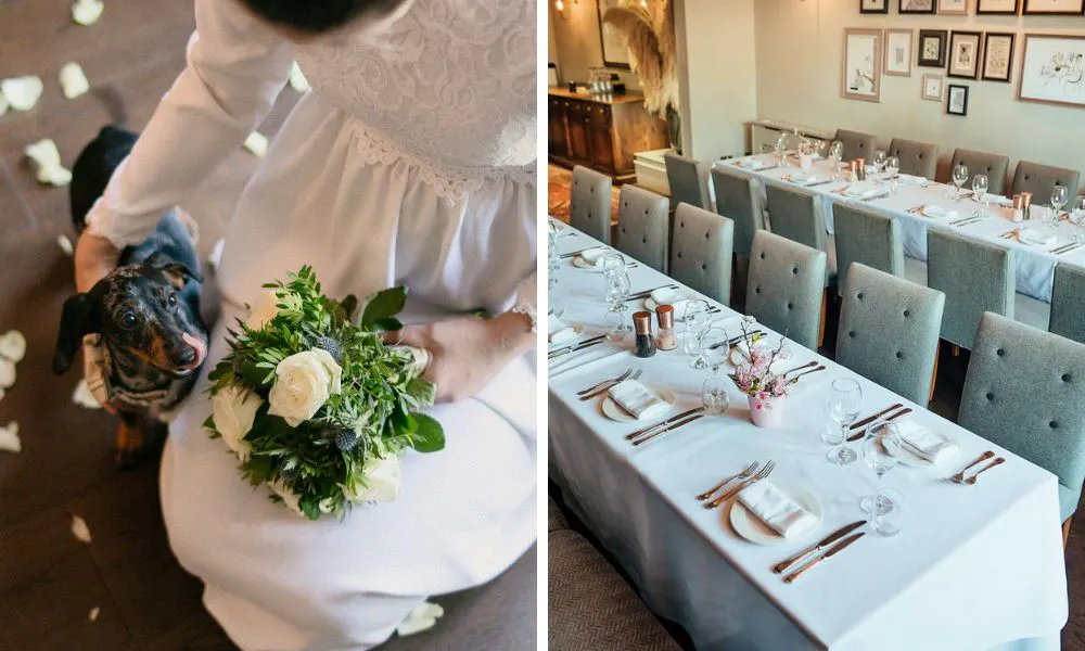 bride petting a dog, and wedding breakfast set up
