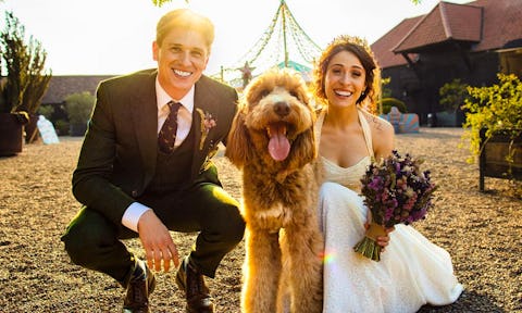13 best pet-friendly wedding venues in the UK