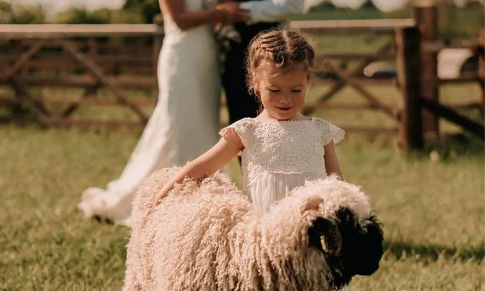 A little girl petting a sheep