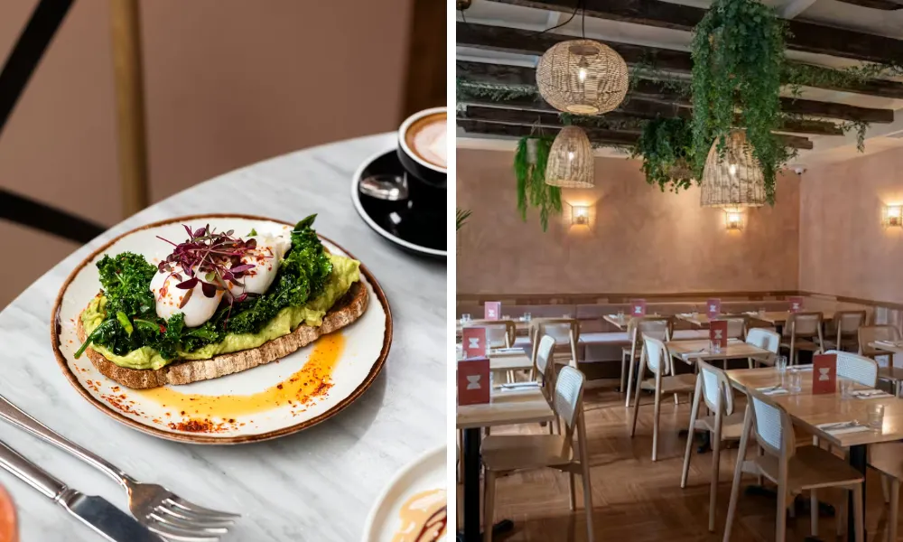 egg and avocado at brother marcus