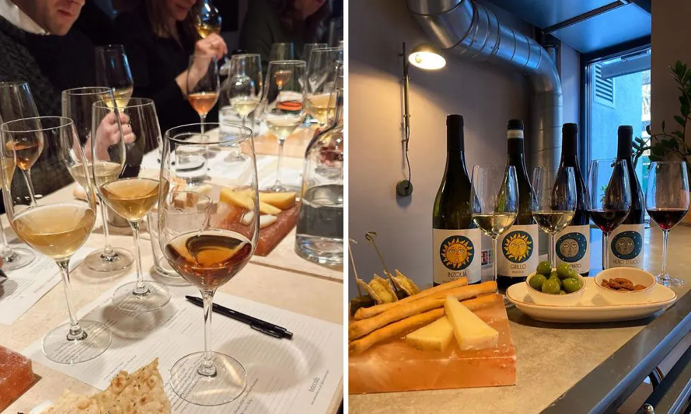 wine tasting with several bottles of wine and plates of cheeses