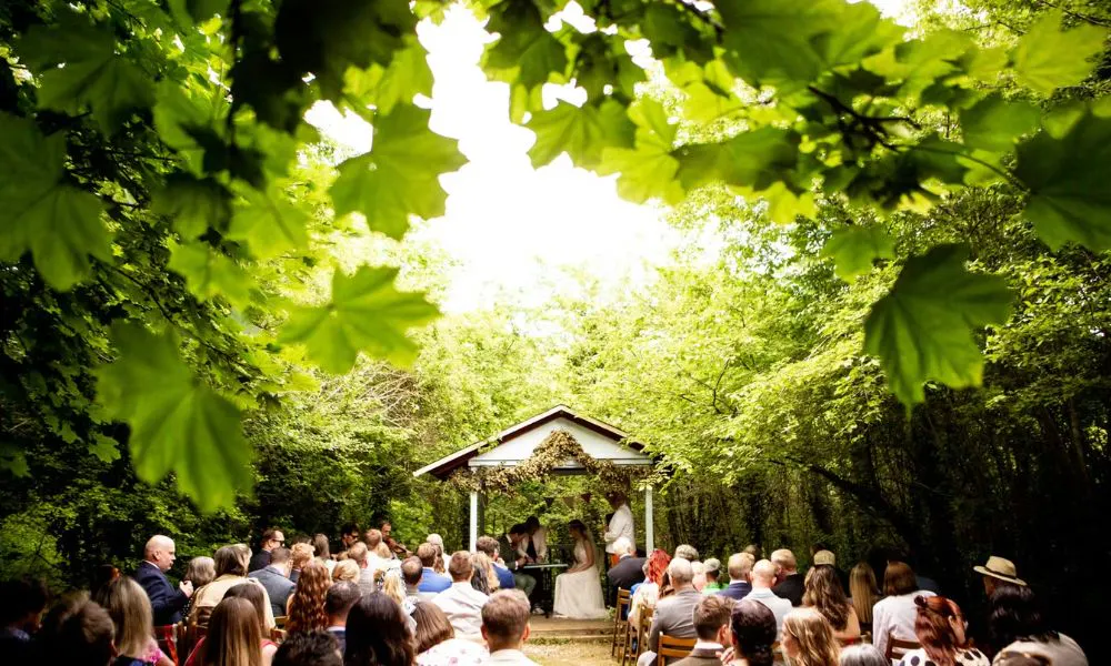 a couple getting married in a forest