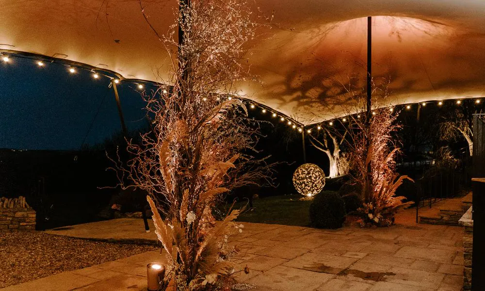 Dried flower arrangements climbing tent poles