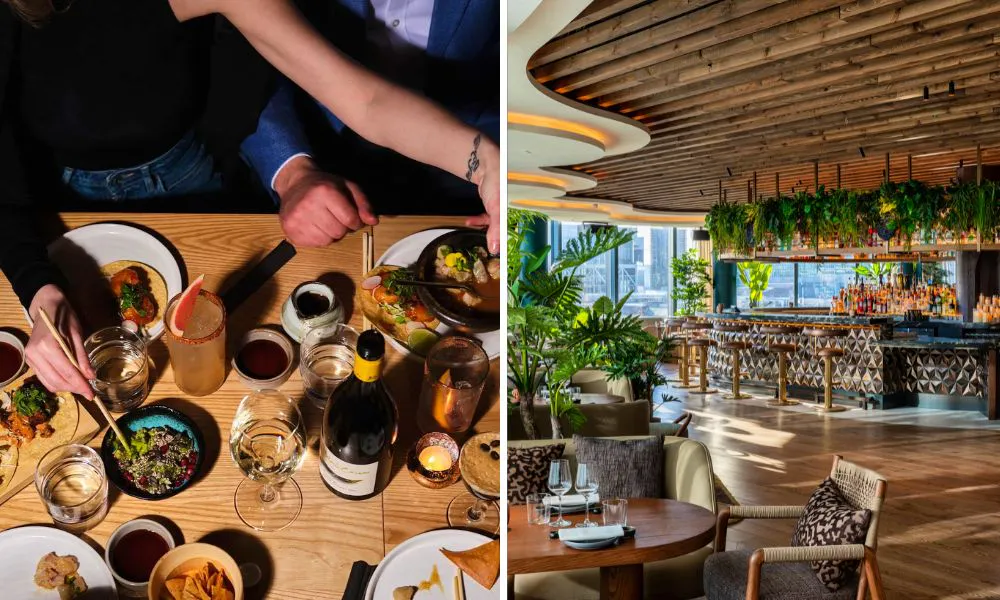 Fusion dishes and Los Mochis bar