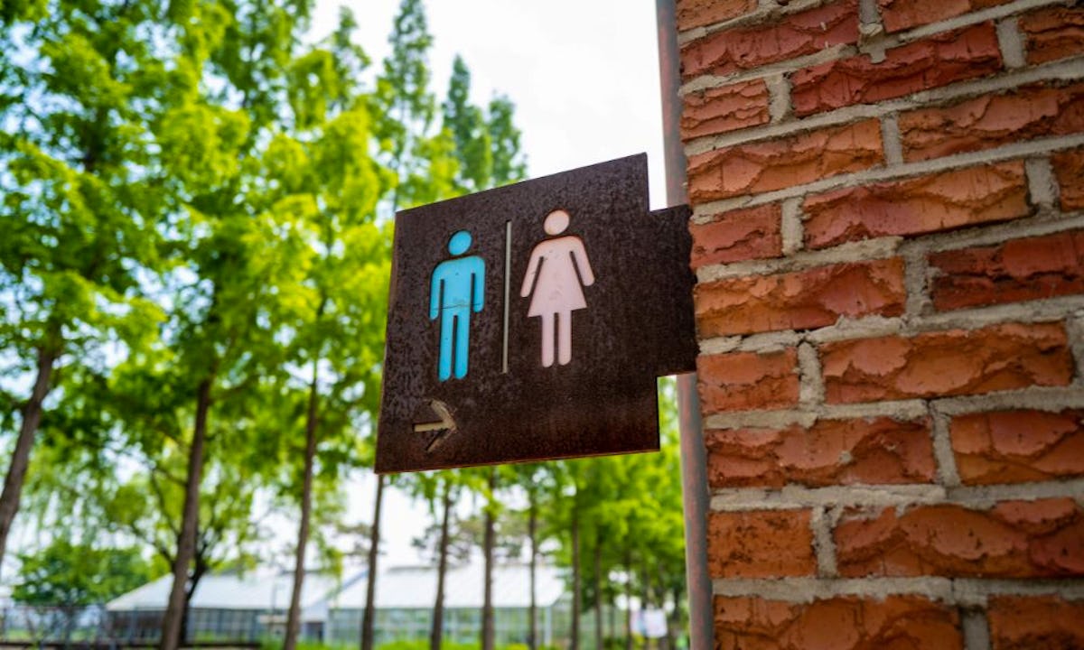 Single-sex toilets to be mandatory in new bars and restaurants