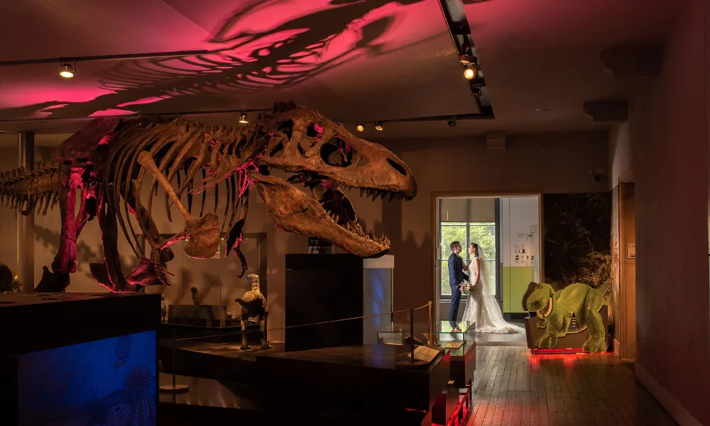 t rex at great north museum