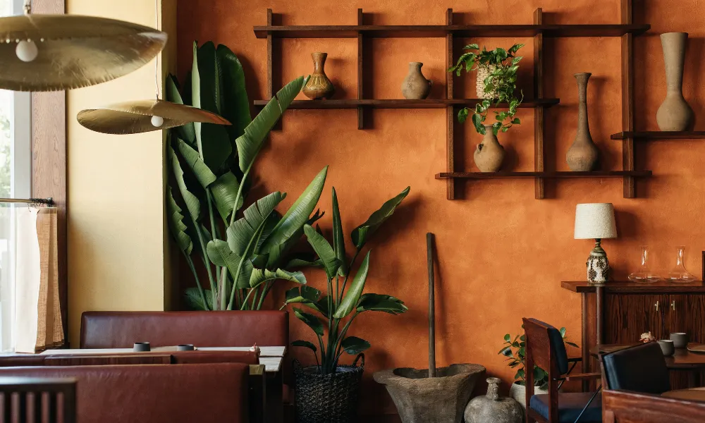 terracotta walls and plants at KOL