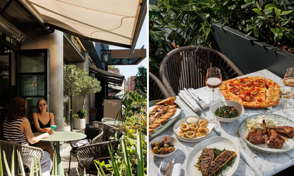 Olea social terrace