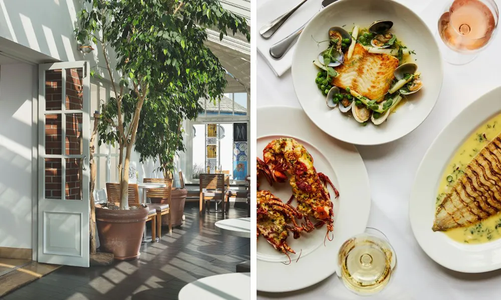 Sunny conservatory and plates of food