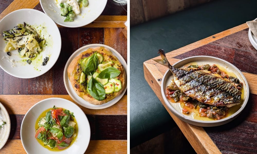 mackerel dish at root