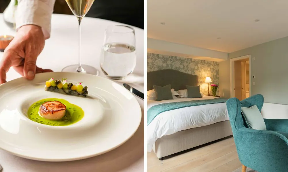 Scallop dish, and bedroom
