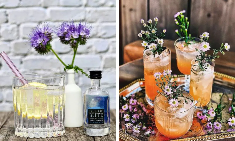 clear and orange cocktails with flower garnish