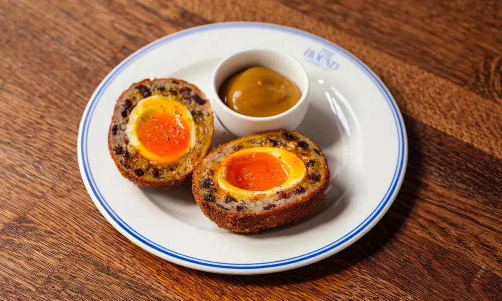 black pudding scotch egg The Hound