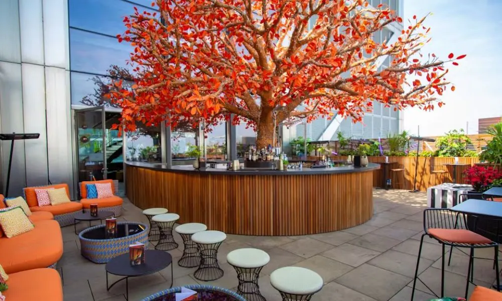 rooftop with tree and outside bar