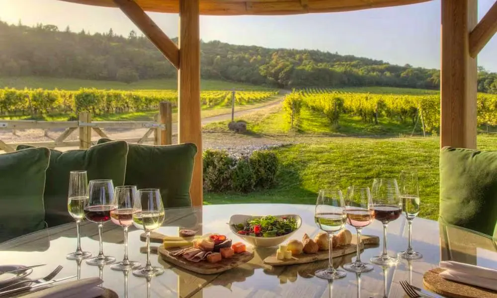 Denbies vineyard