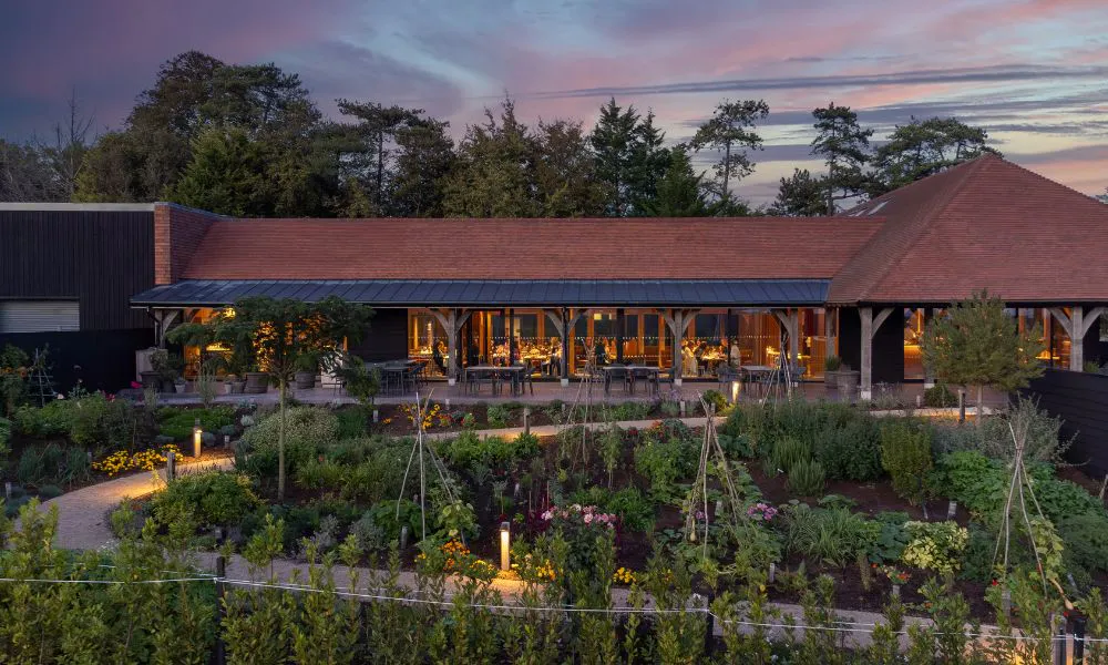 Vineyard celebration for 40th birthday