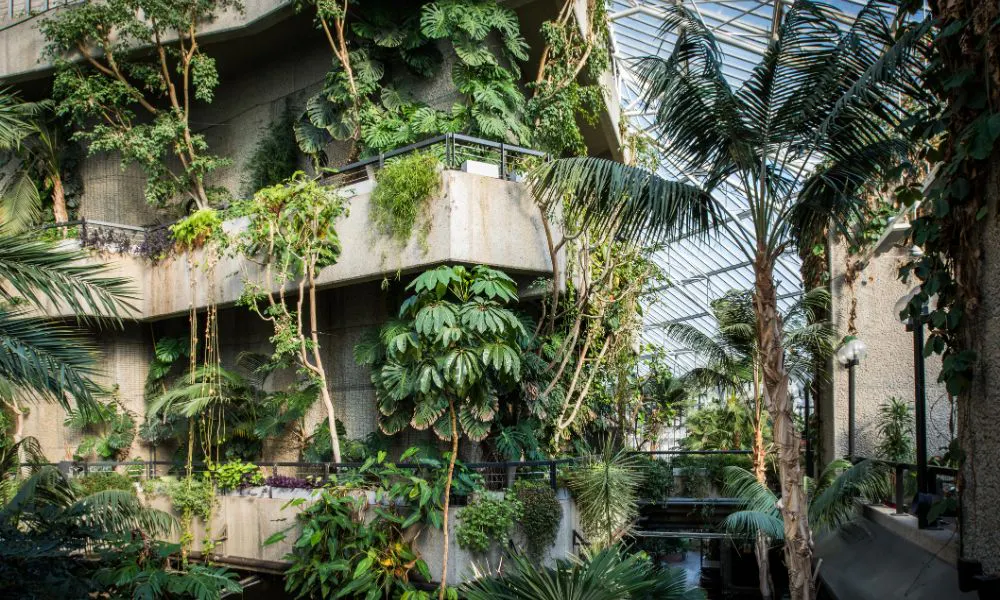 The Conservatory at the Barbican Conference Centre