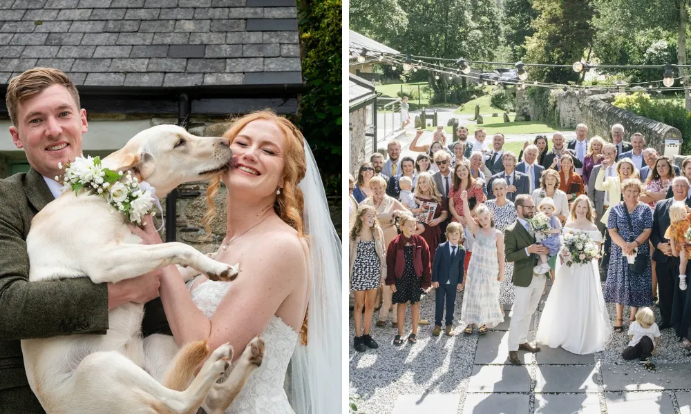 Golden Retriever acting as ring bearer at a Cornwall wedding venue