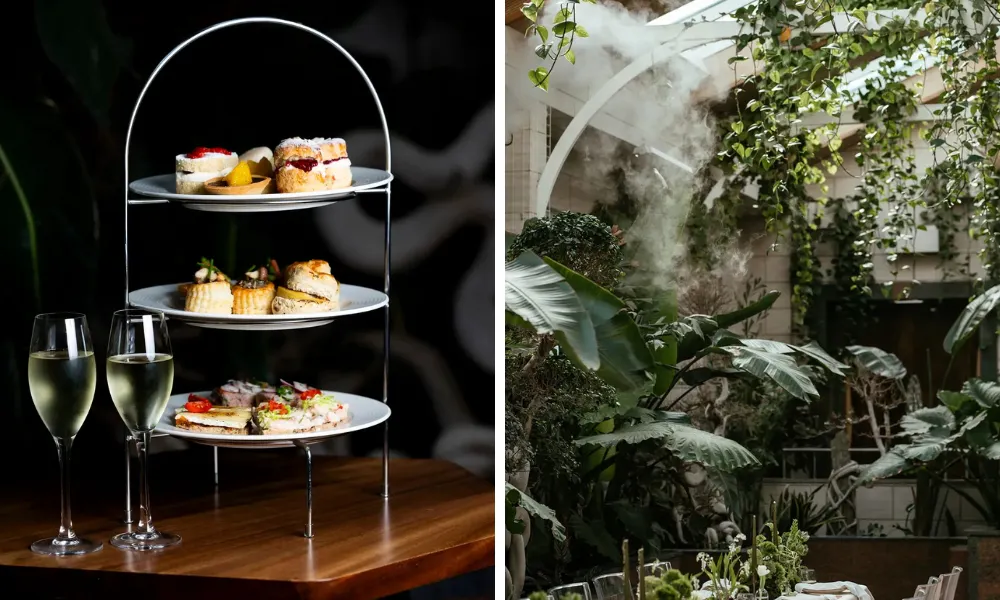 afternoon tea stand and tea lounge with tropical plants