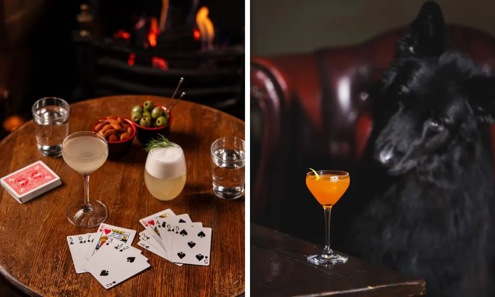 a table set with cocktails, snacks and playing cards (left), a black, shaggy dog looking at a cocktail (right)