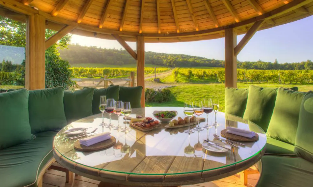 a selection of wines for a tasting with views of the vineyard