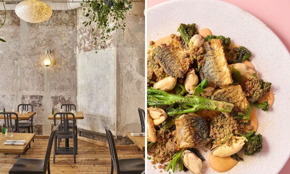 Restaurant interiors and plant based dish