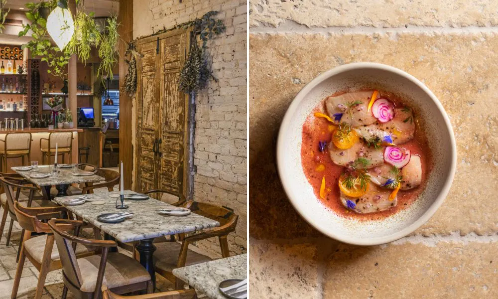 Restaurant interiors and a dish
