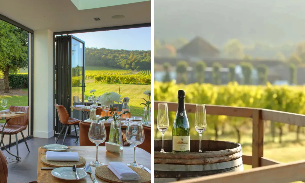 restaurant with vineyard behind 