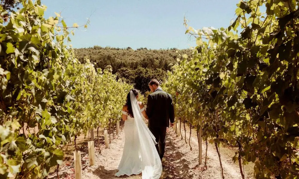 a bride and groom walking through a vineyard