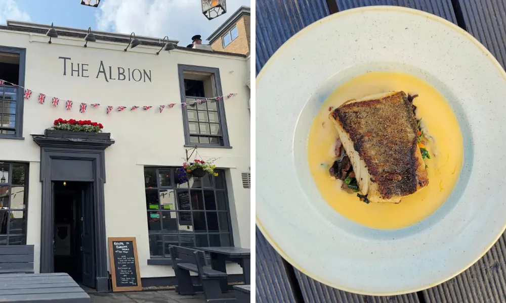 the albion fish dish
