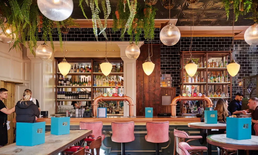 dining room at el gato negro