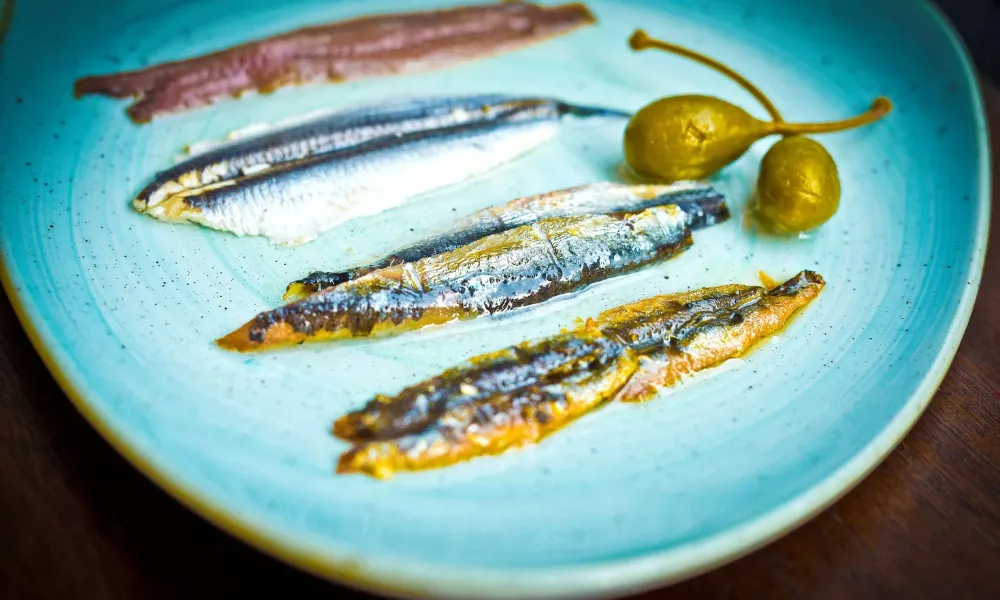 spanish anchovies at lunyalita