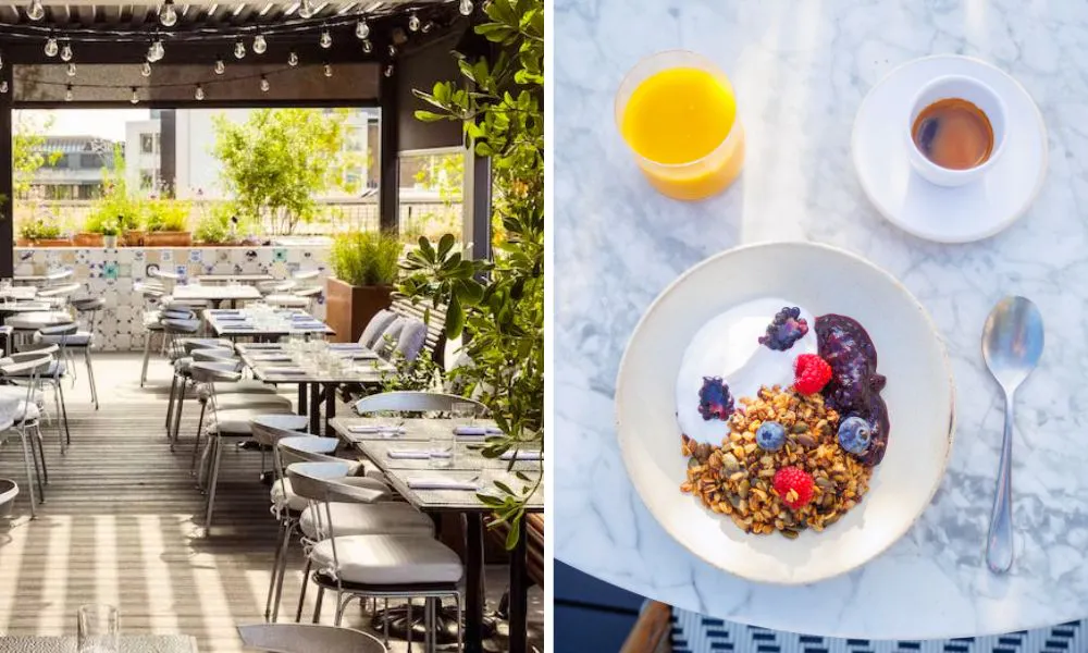 Rooftop rucola and granola pot