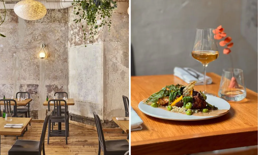 Apricity interiors and food