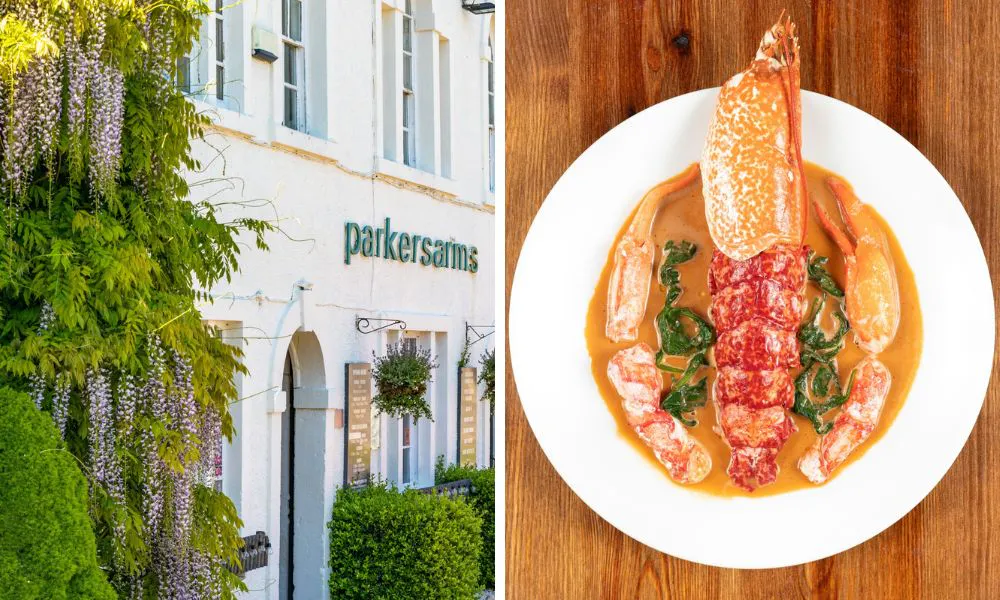 pubs with vines and lobster