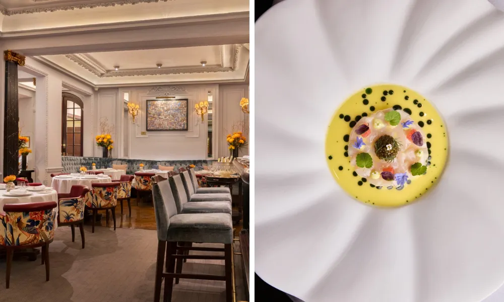 interiors at The Stafford and a ceviche dish