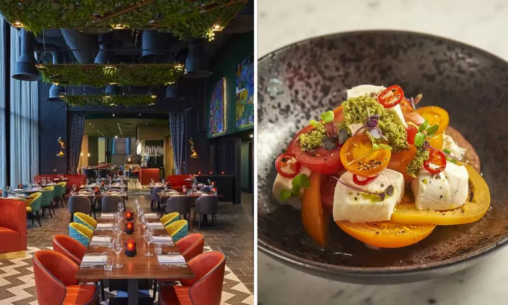 Dining room interiors and tomato dish#