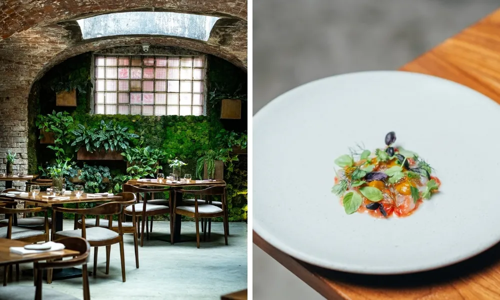 dining room at alchemilla