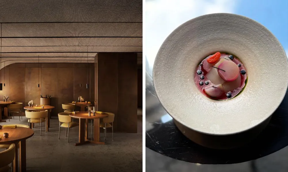 spacious fine dining room and scallop with dressing